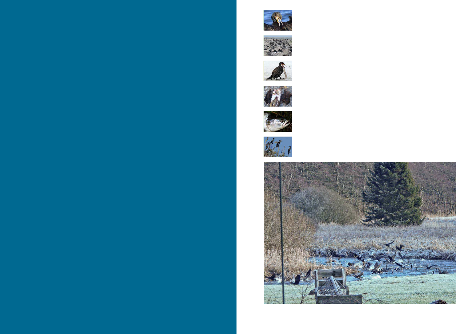 1376470_0002.png