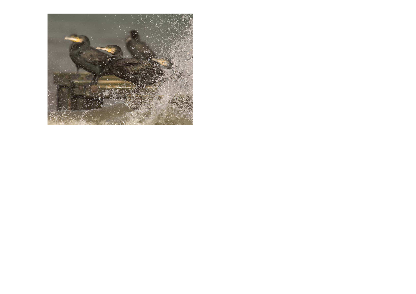 1376470_0019.png