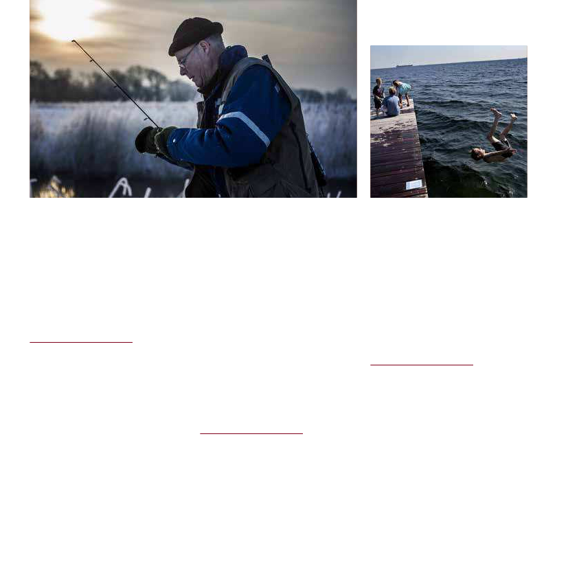 1380976_0036.png