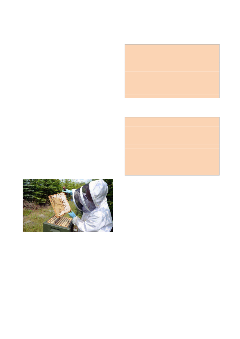 1383713_0002.png