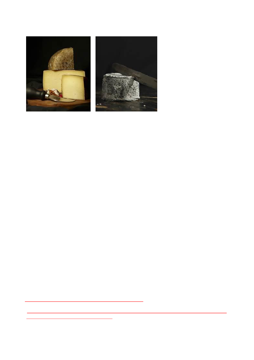 1397362_0001.png