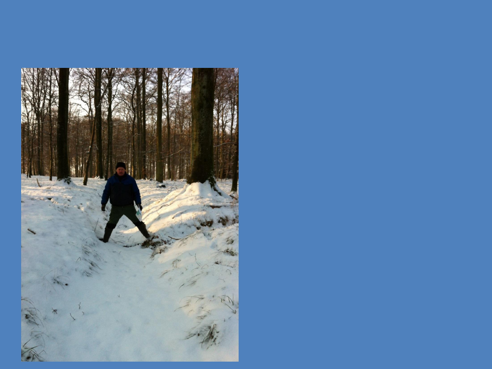 1401348_0006.png