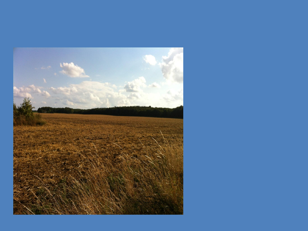 1401348_0007.png
