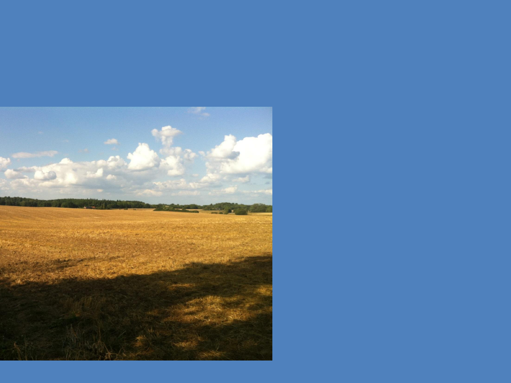 1401348_0009.png