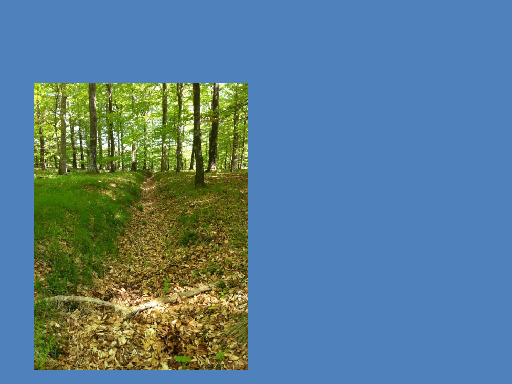 1405153_0004.png
