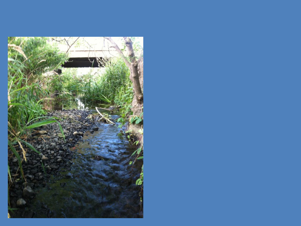 1405153_0013.png
