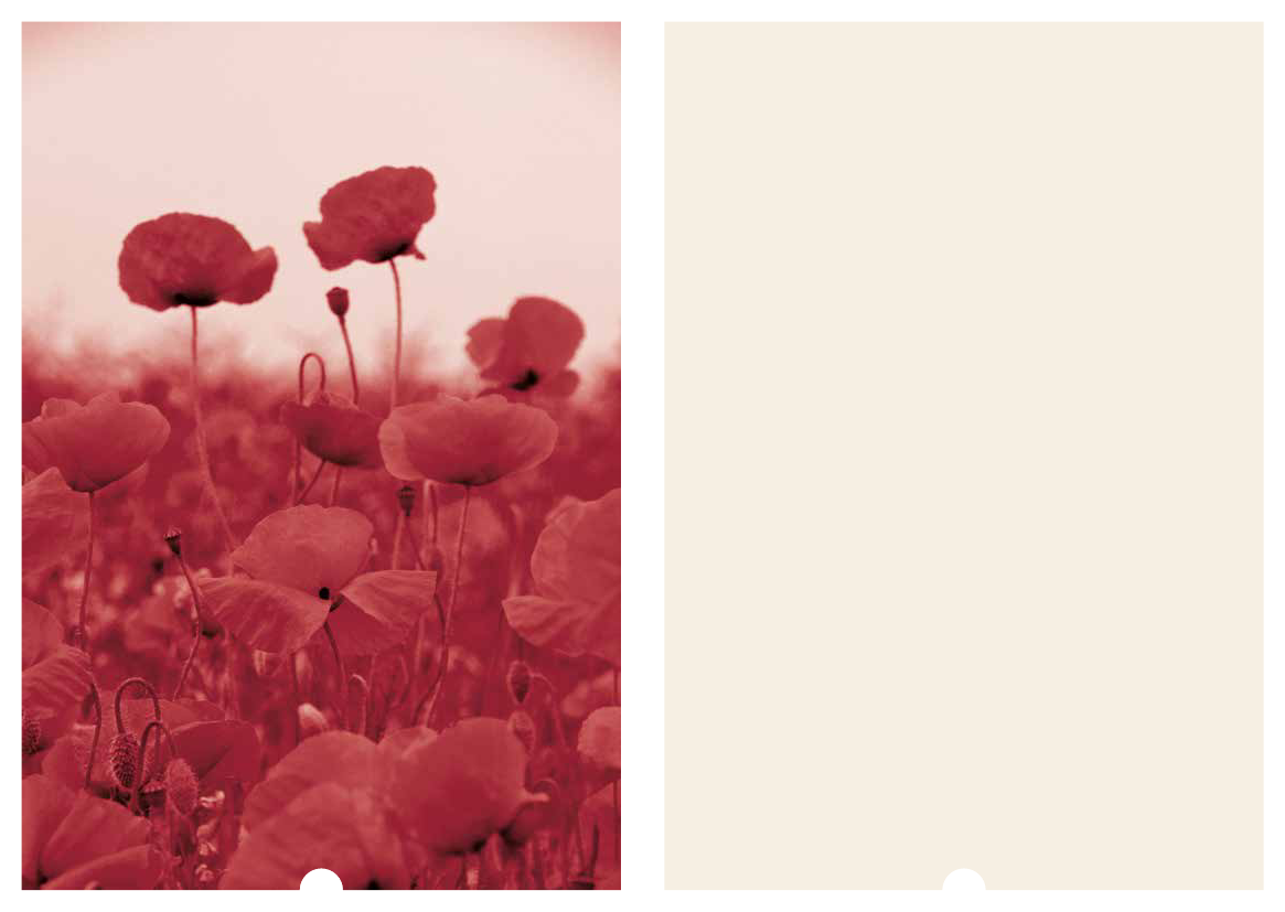 1416250_0003.png