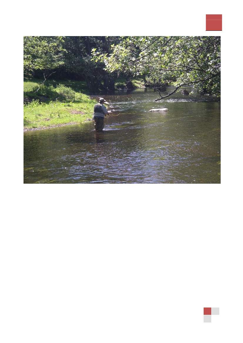 1431074_0015.png