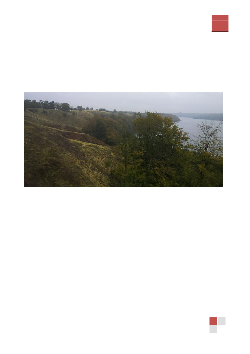 1431074_0020.png