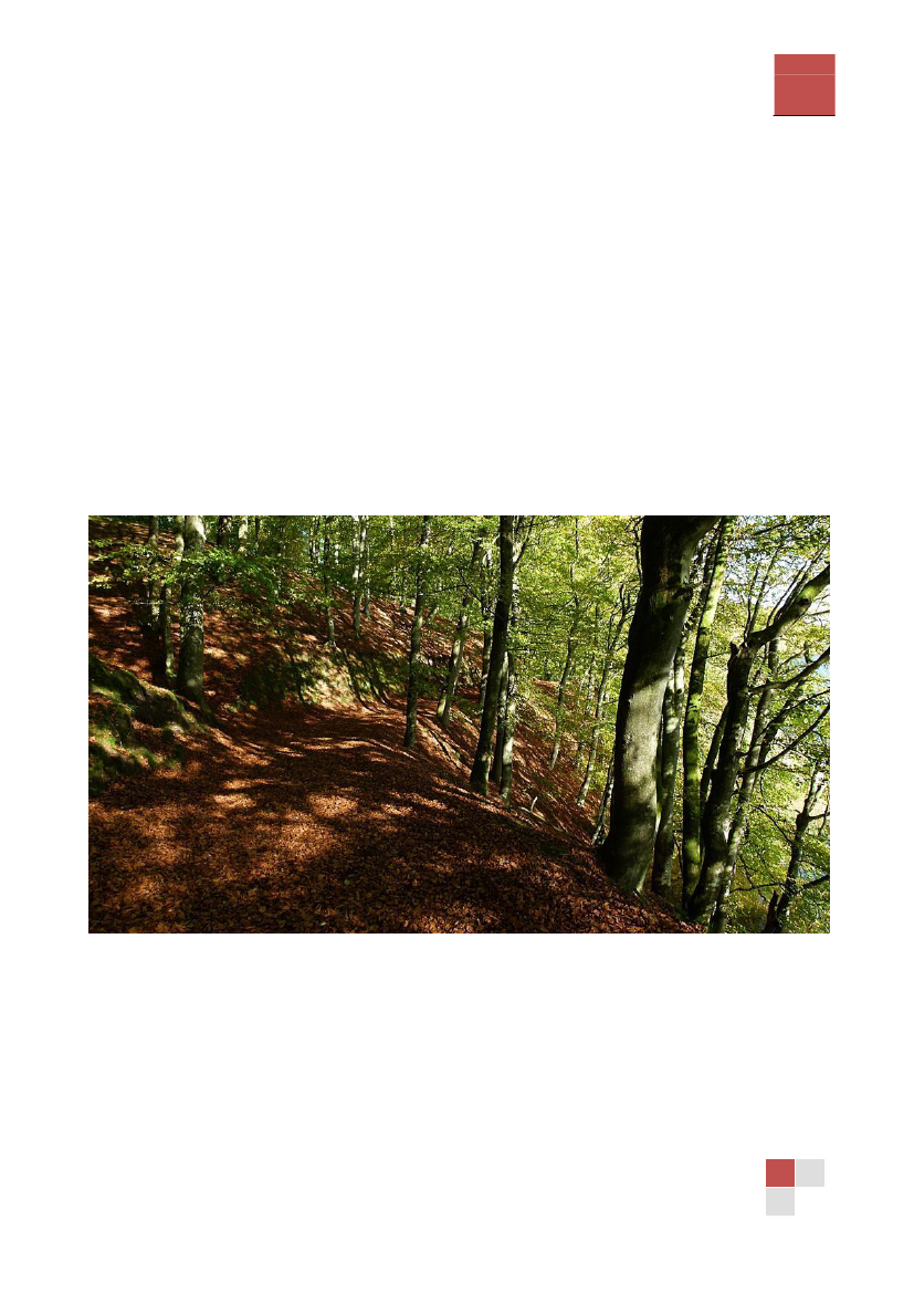1431074_0025.png