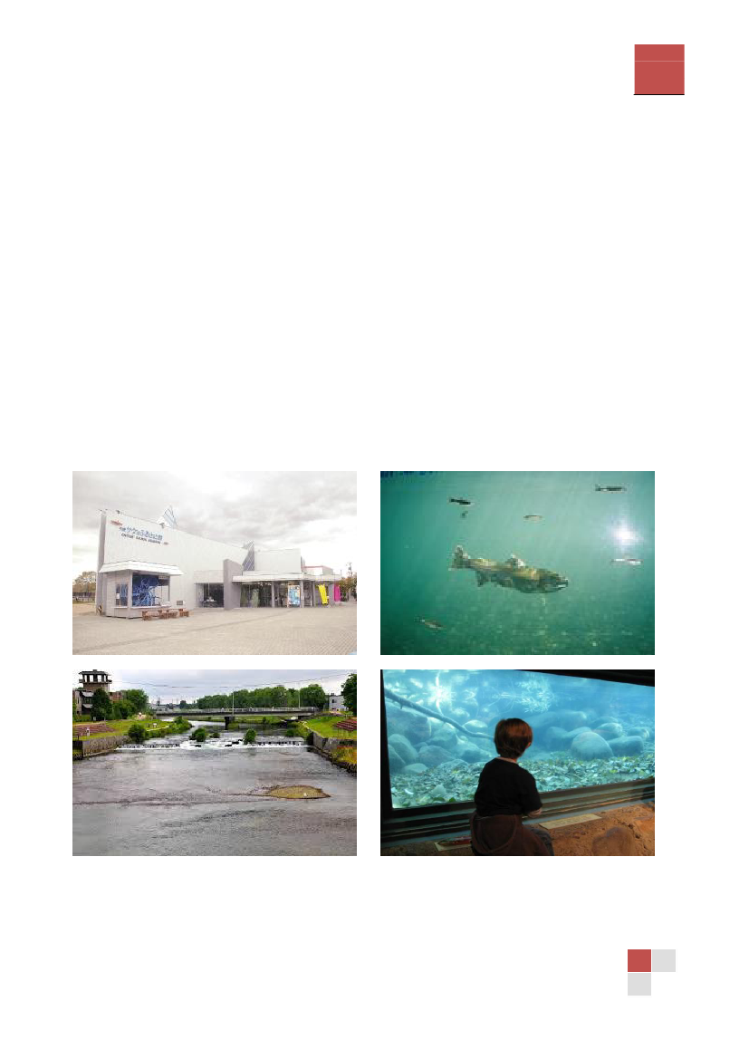1431074_0043.png