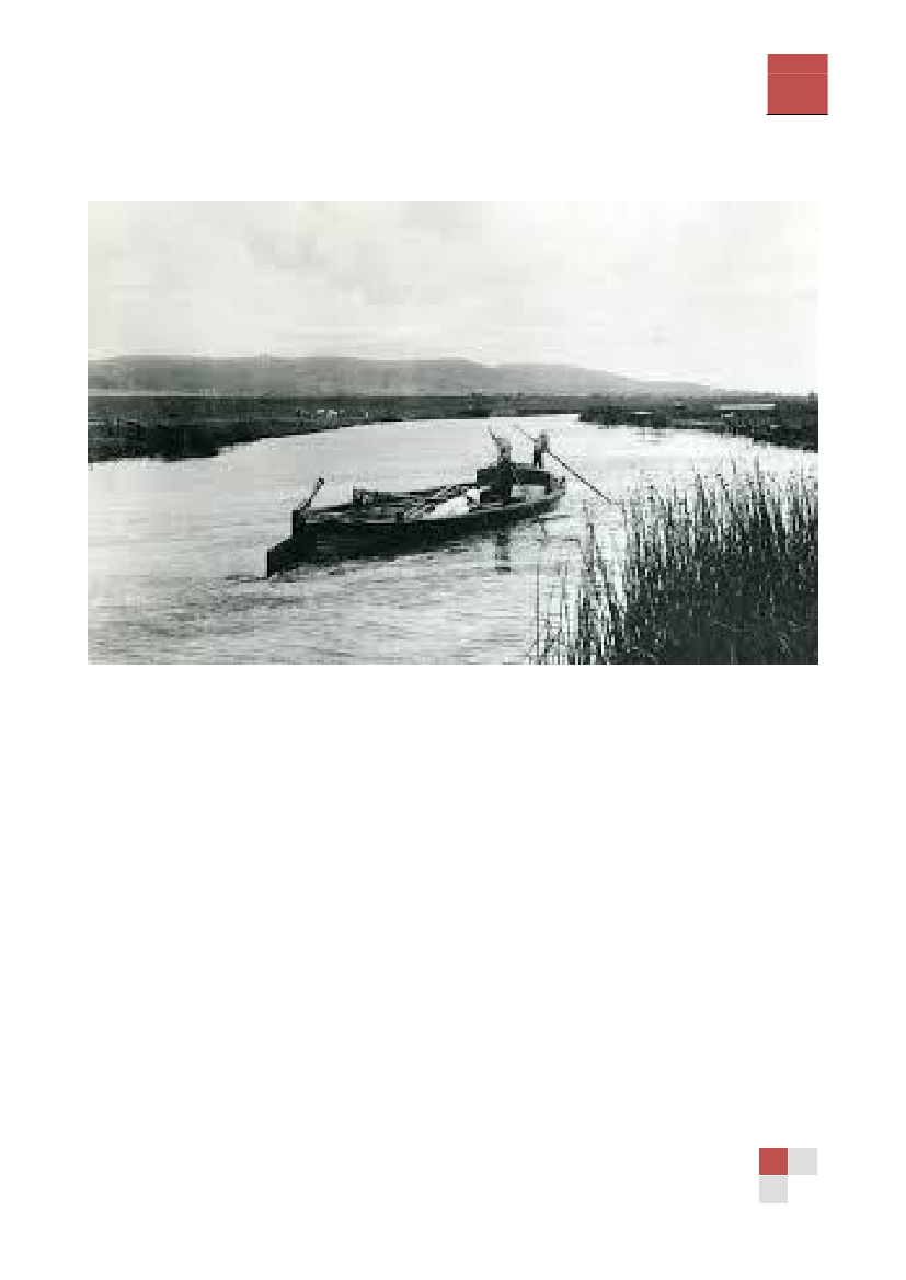 1431074_0045.png