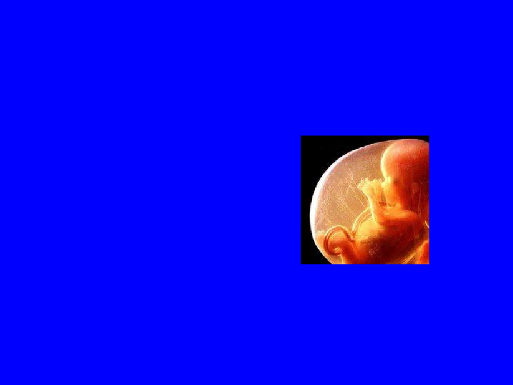 1484105_0004.png