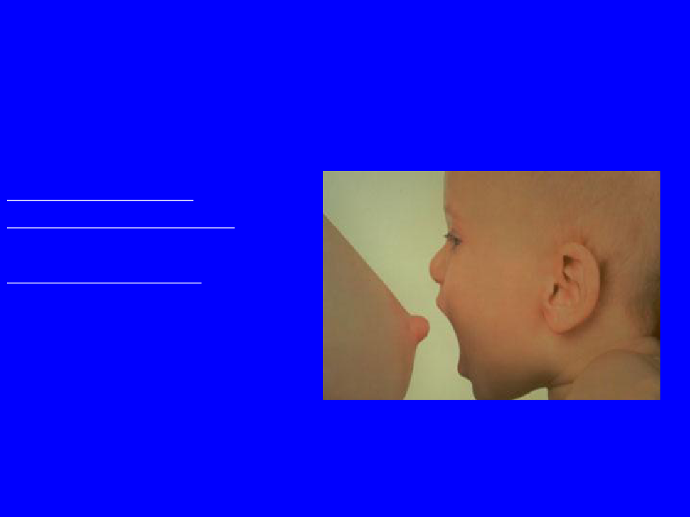 1484105_0031.png