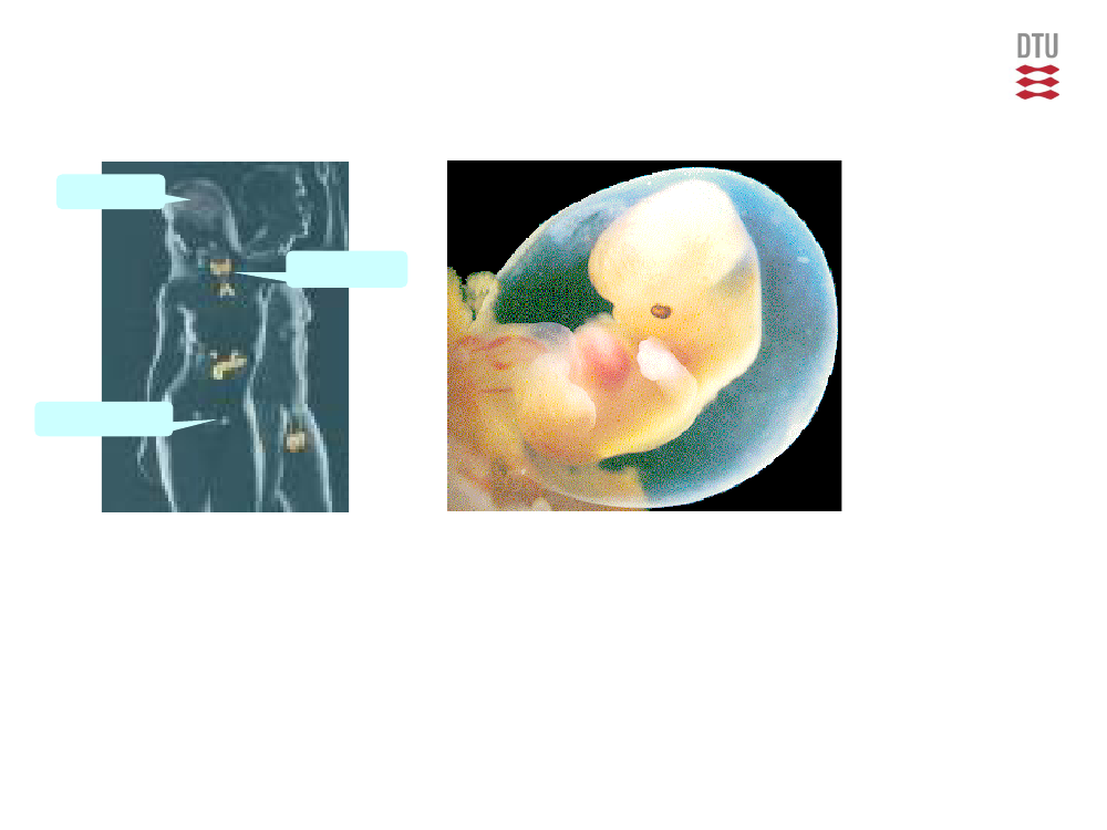 1484106_0002.png