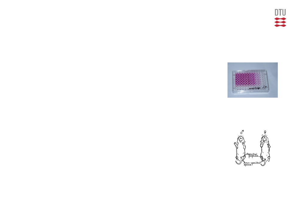 1484106_0006.png