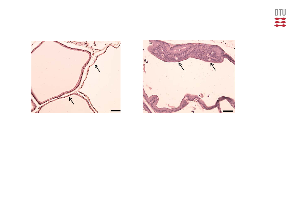 1484106_0017.png