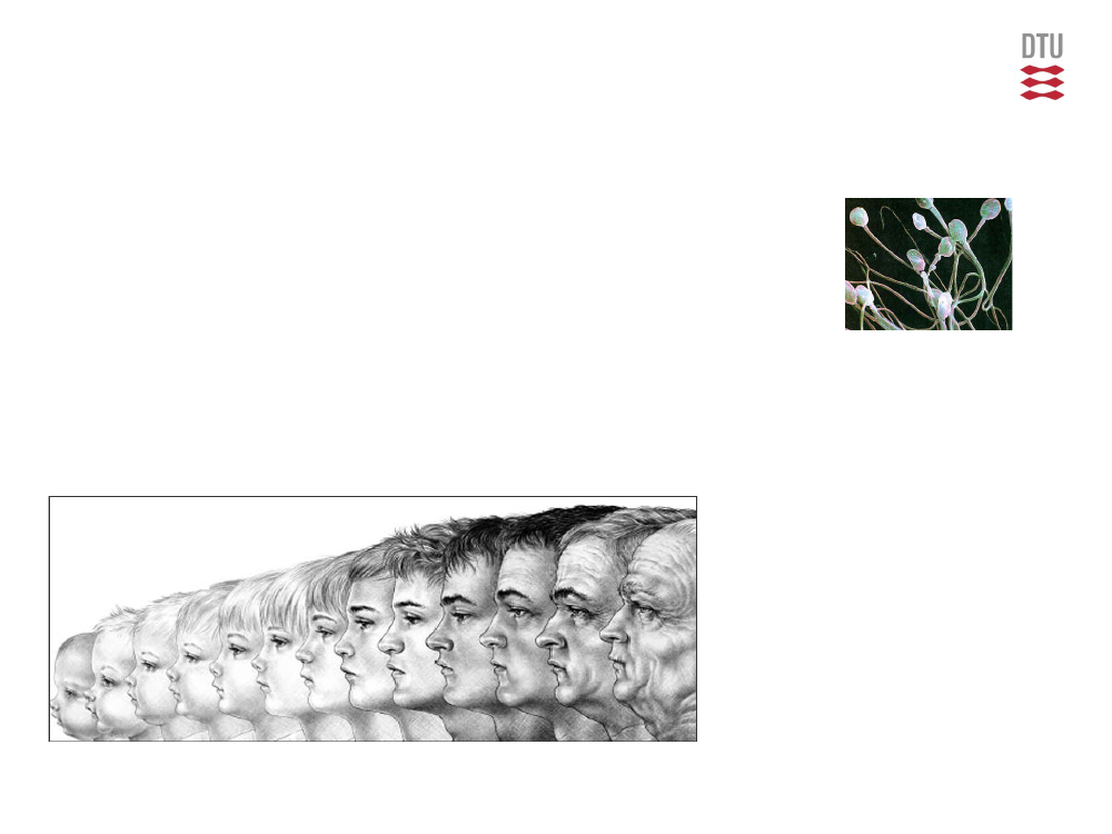 1484106_0018.png