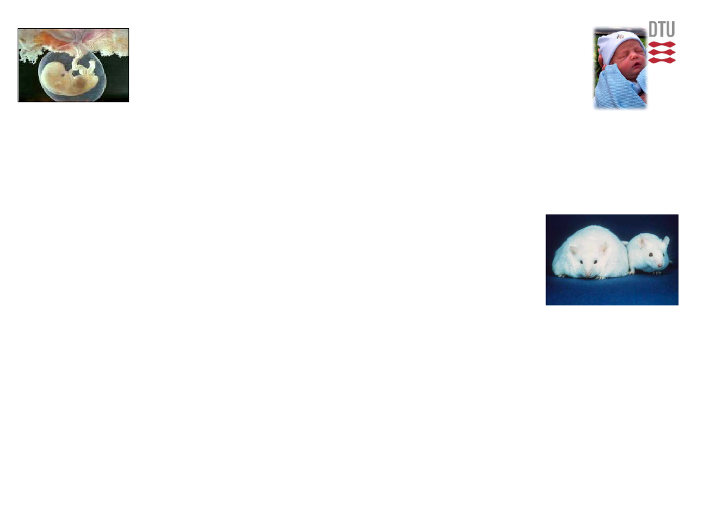 1484106_0019.png