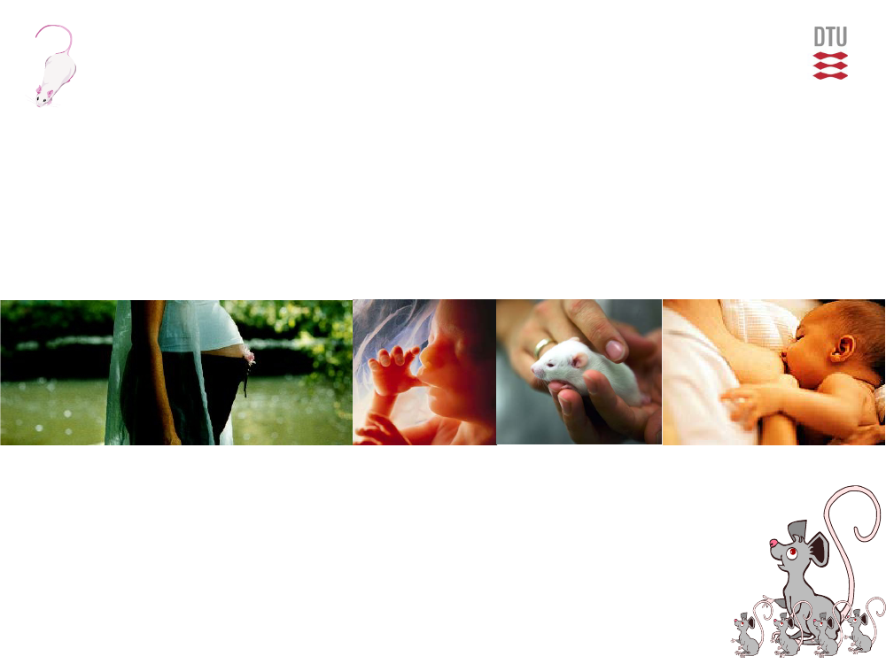 1484106_0023.png