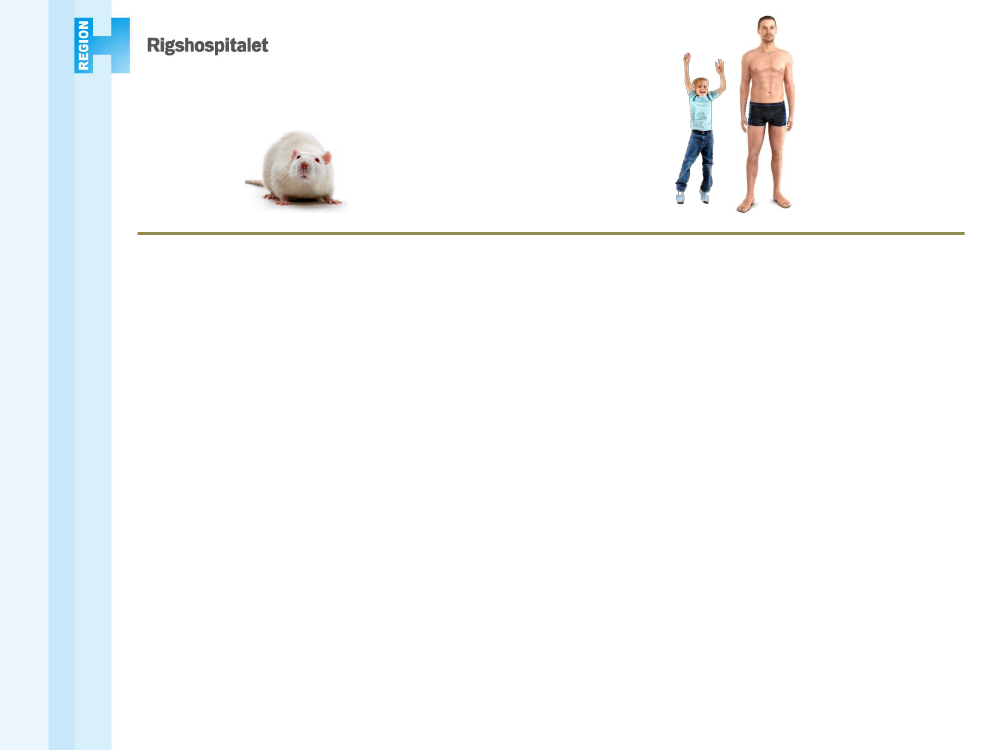 1484107_0005.png