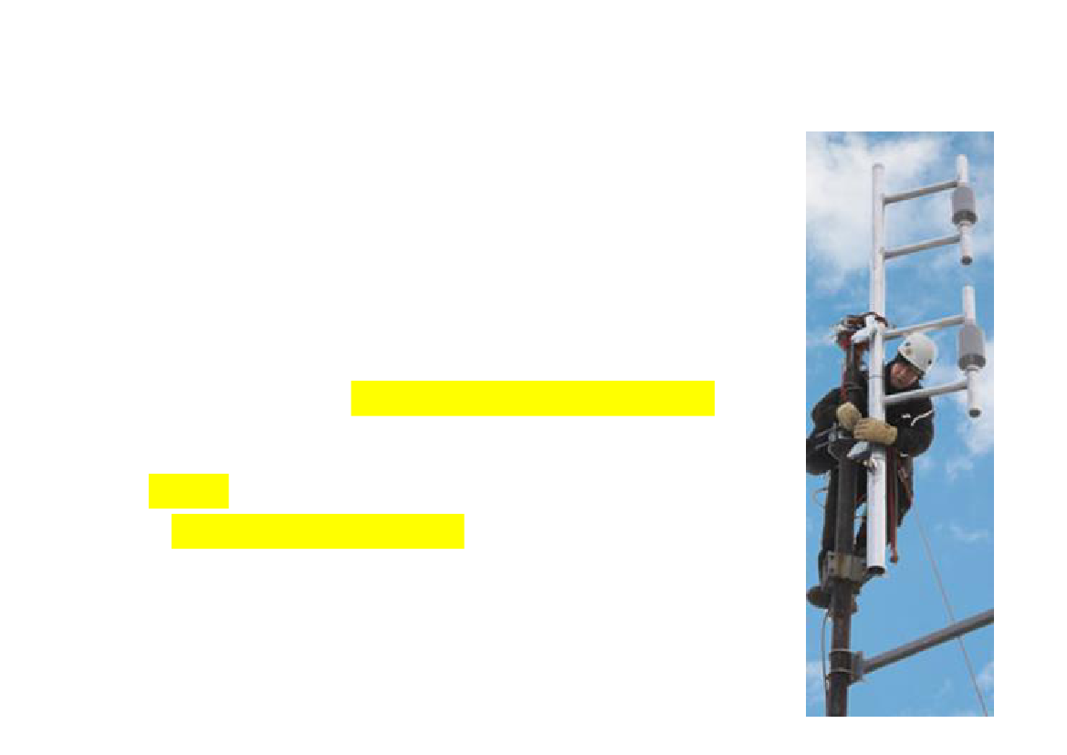 1489293_0004.png