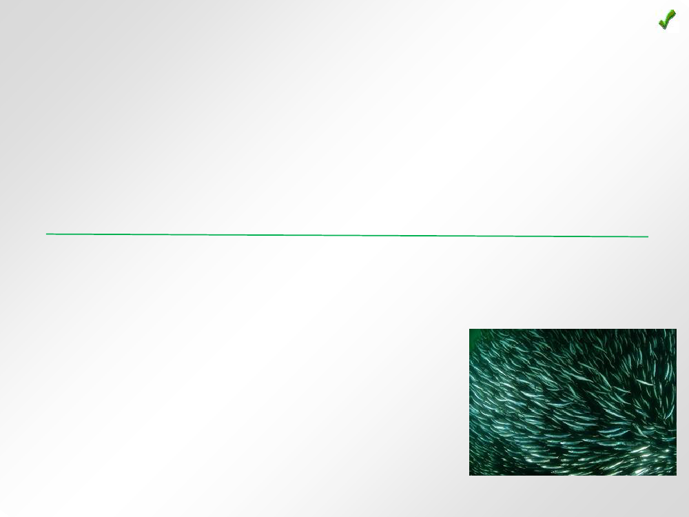 1492546_0006.png