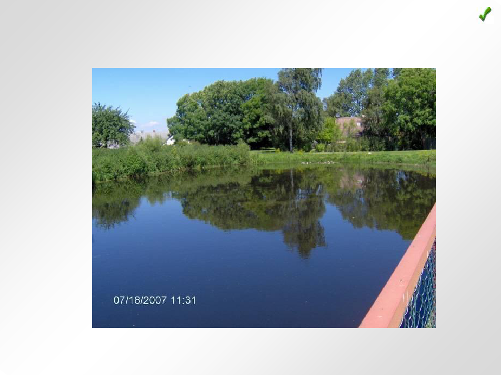 1492546_0015.png