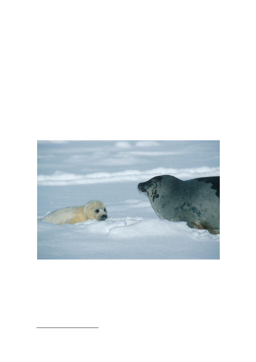 1512586_0015.png