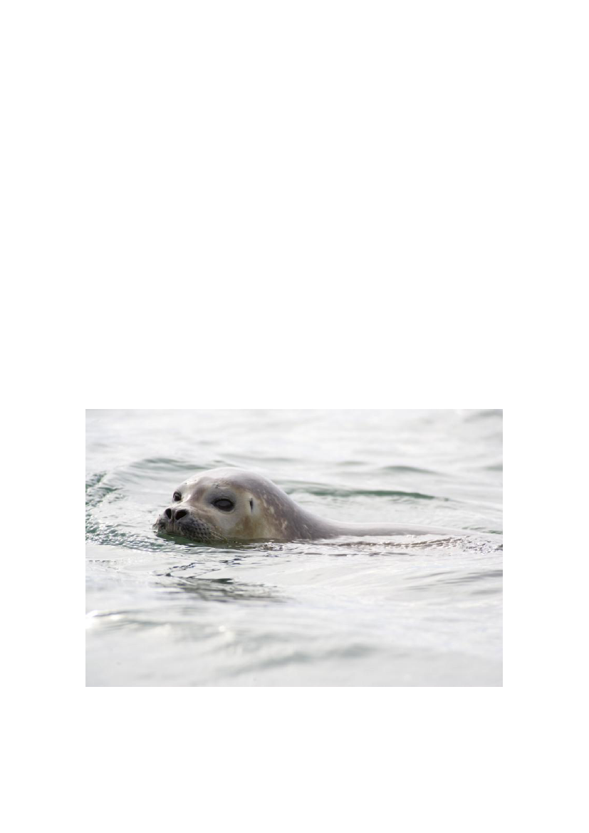 1512586_0017.png