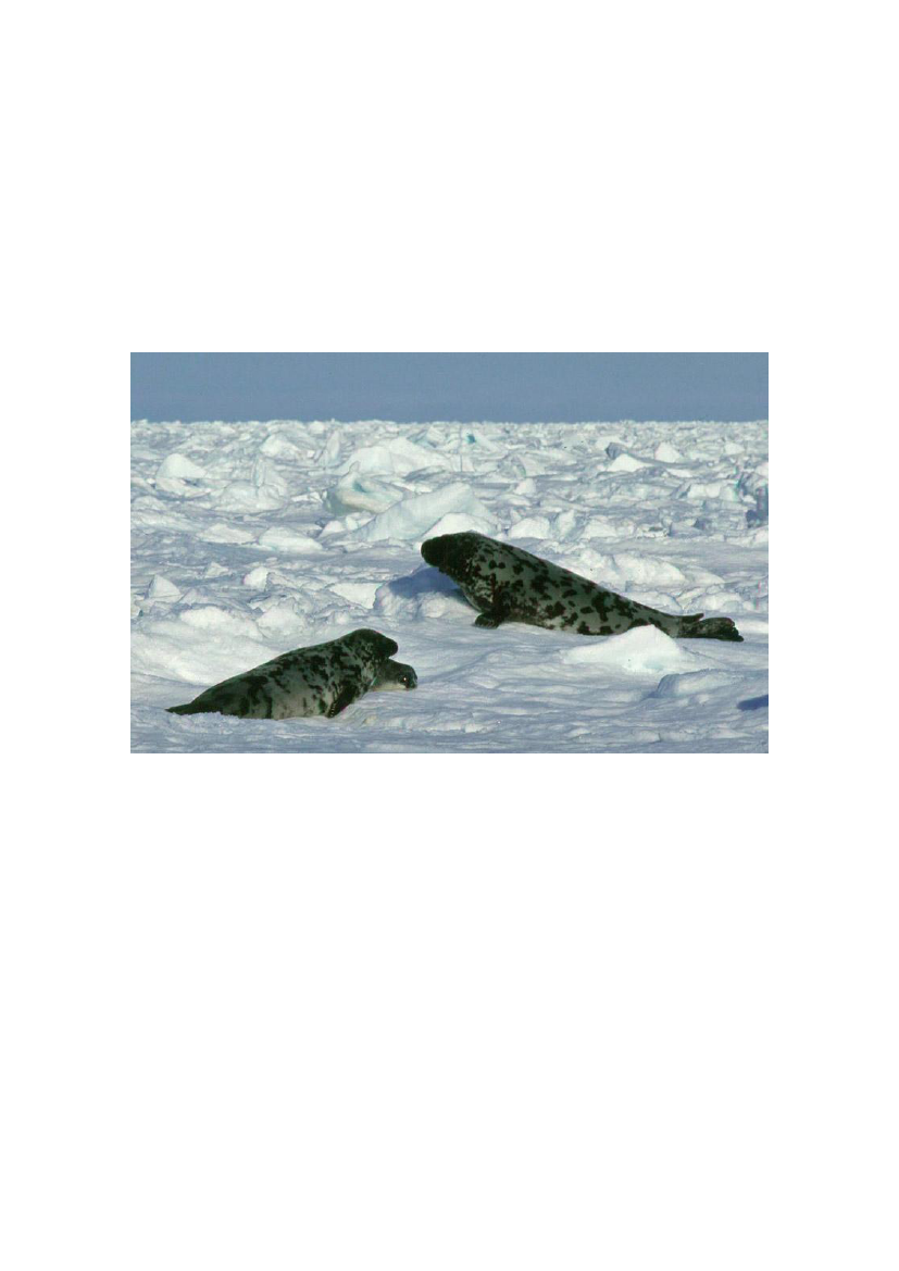 1512586_0019.png
