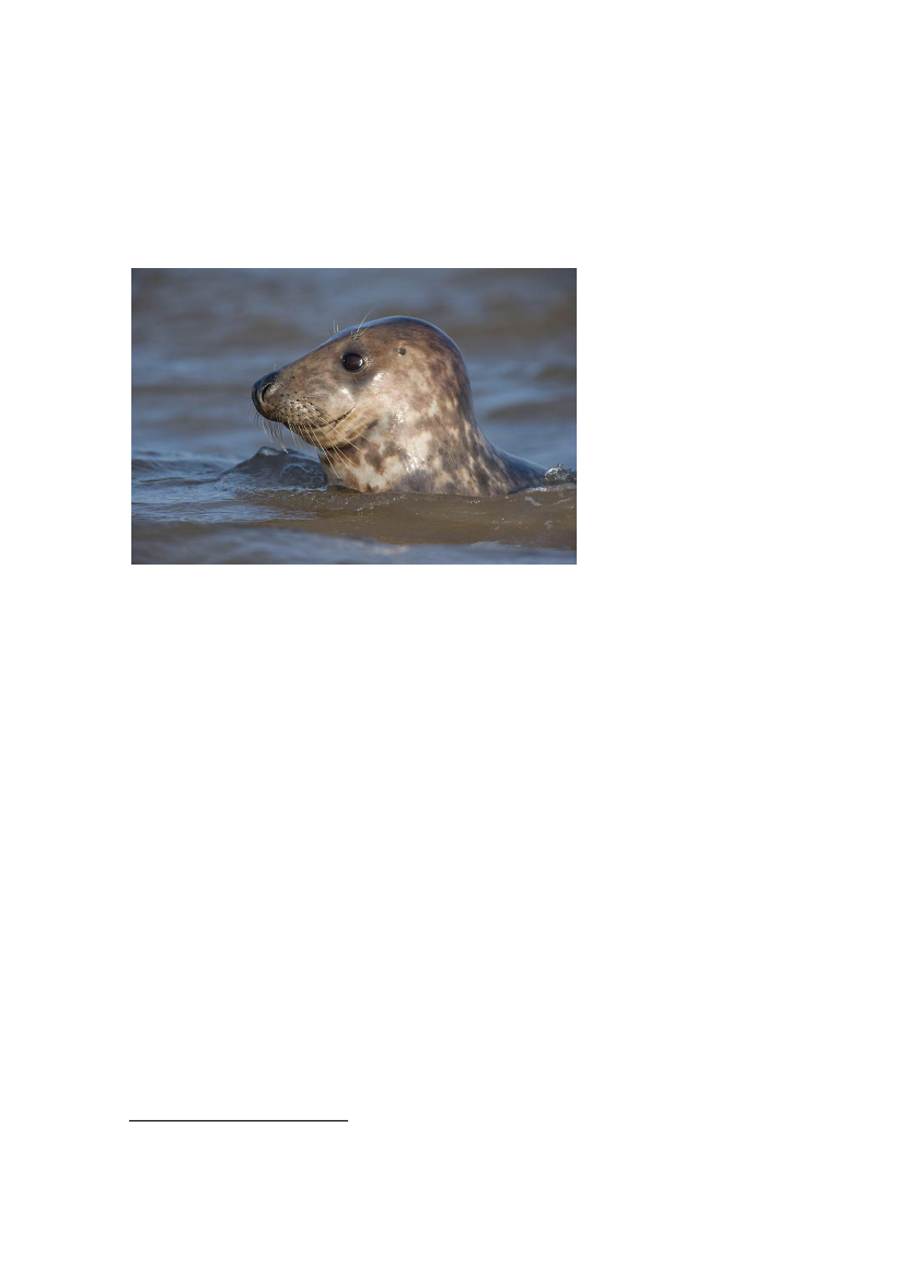 1512586_0022.png