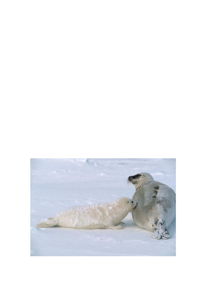 1512586_0024.png