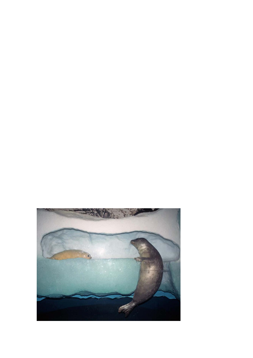 1512586_0025.png
