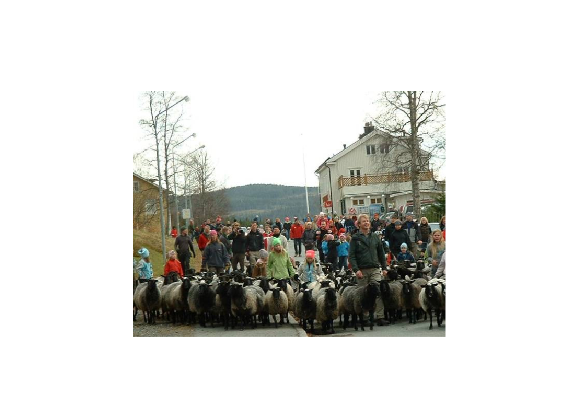 1518531_0009.png