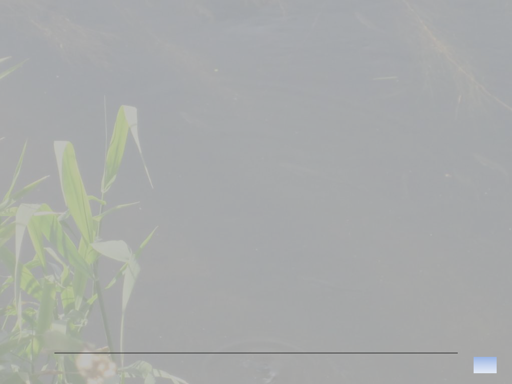 1526550_0001.png