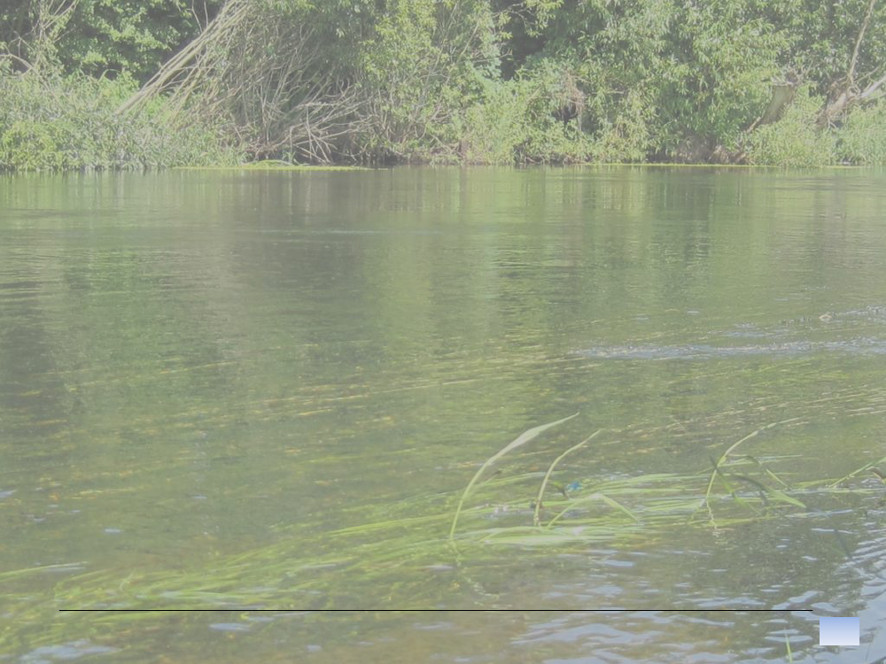 1526550_0003.png