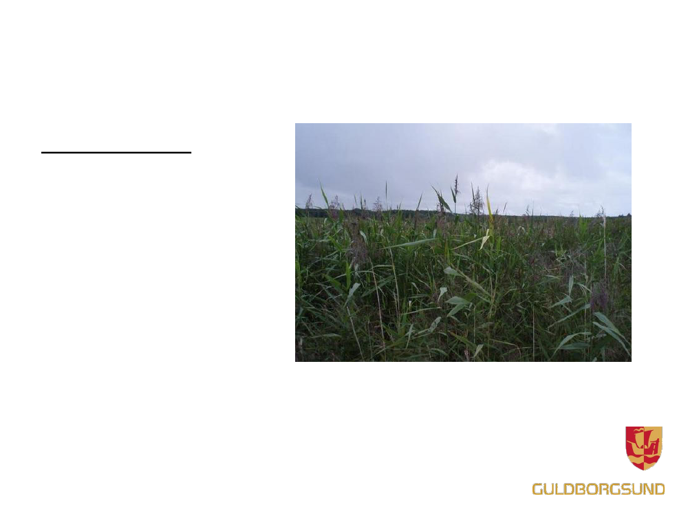 1528123_0006.png