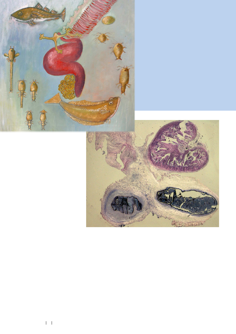 1535971_0034.png