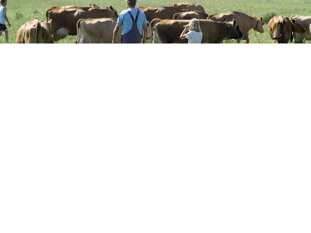 1556357_0006.png