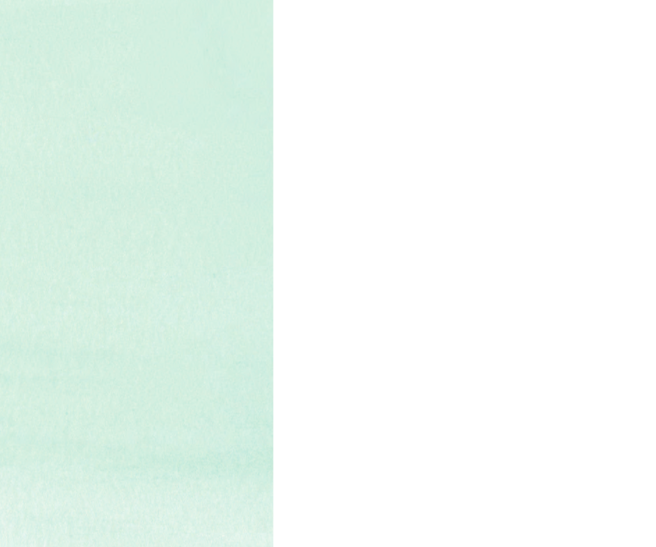 1556665_0002.png
