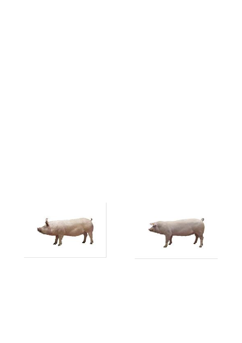 1595683_0010.png