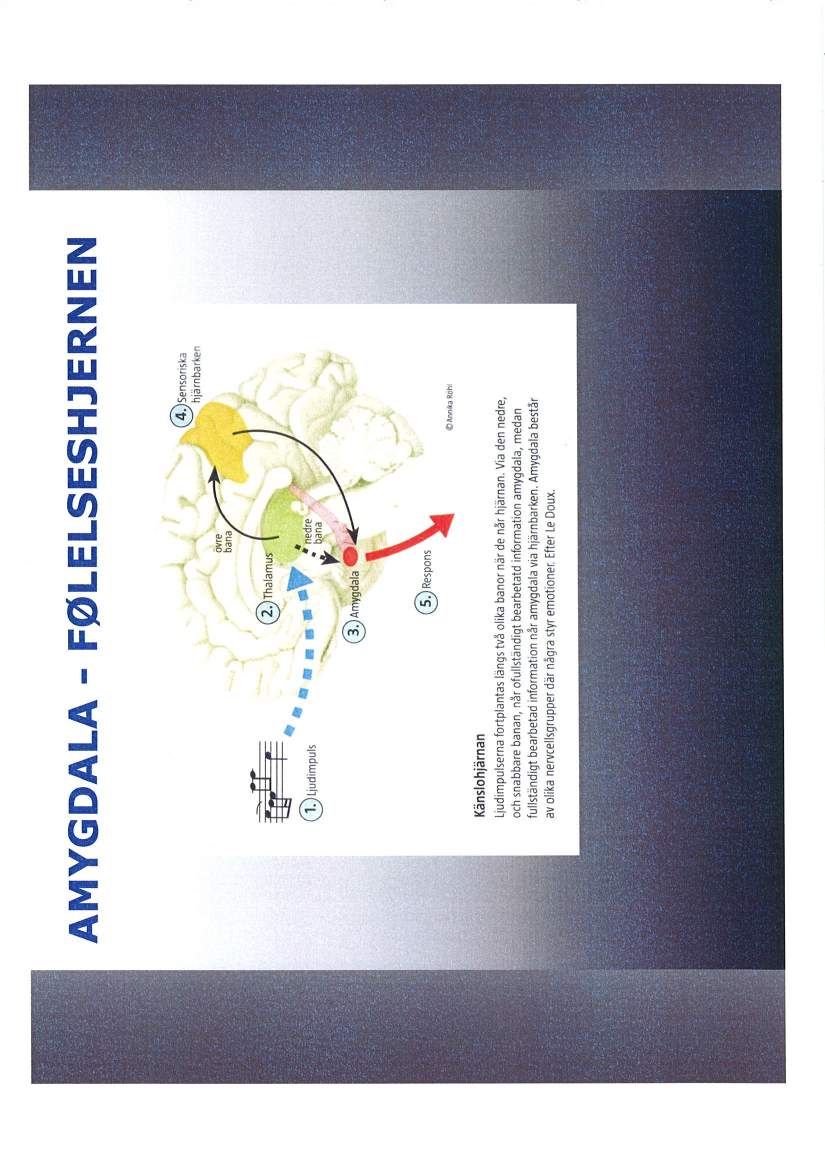 1604039_0006.png