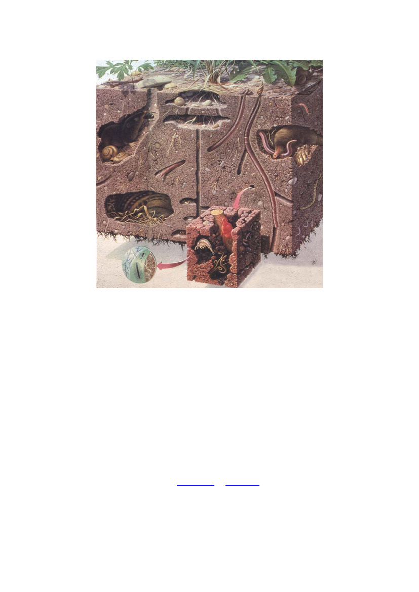 1607108_0003.png