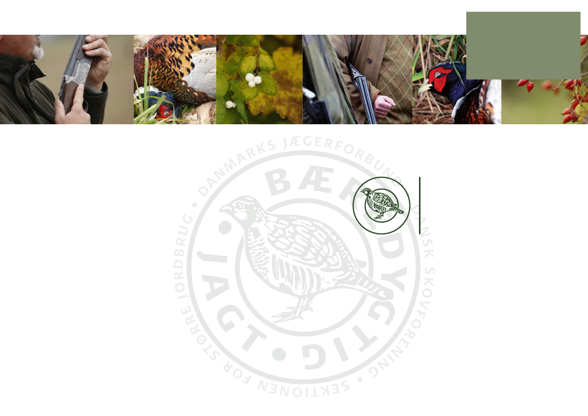 1624061_0002.png
