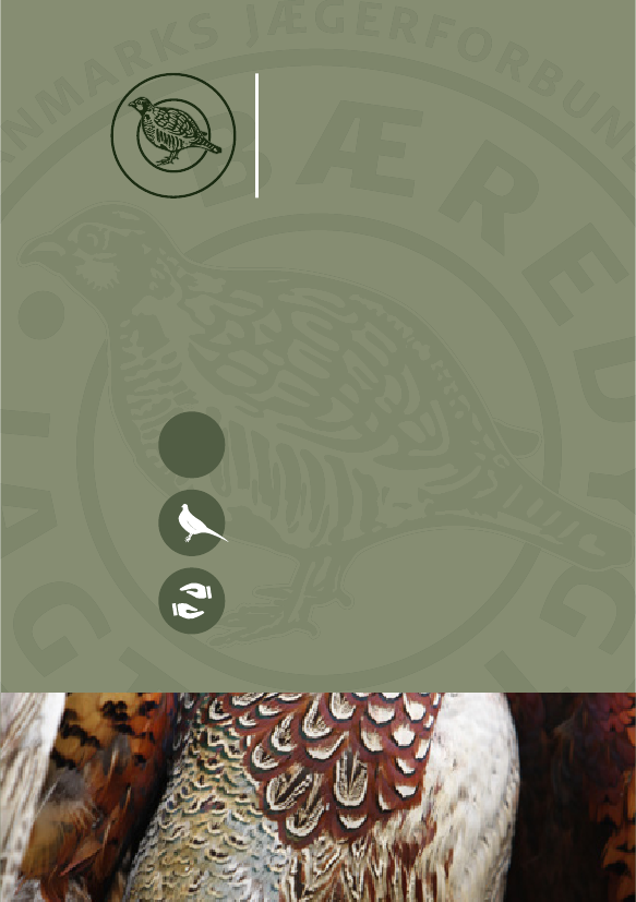 1624062_0001.png