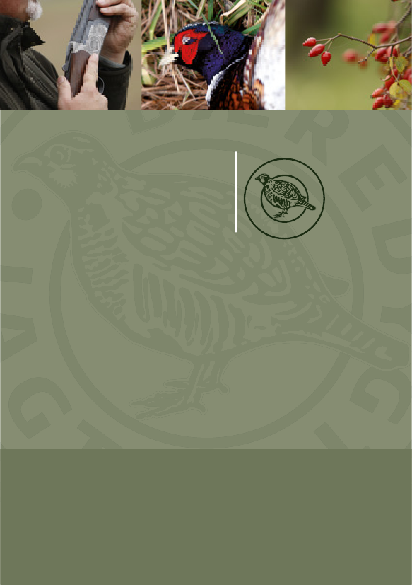 1624062_0002.png