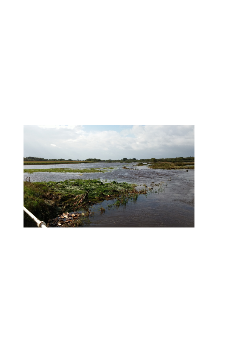 1632391_0018.png