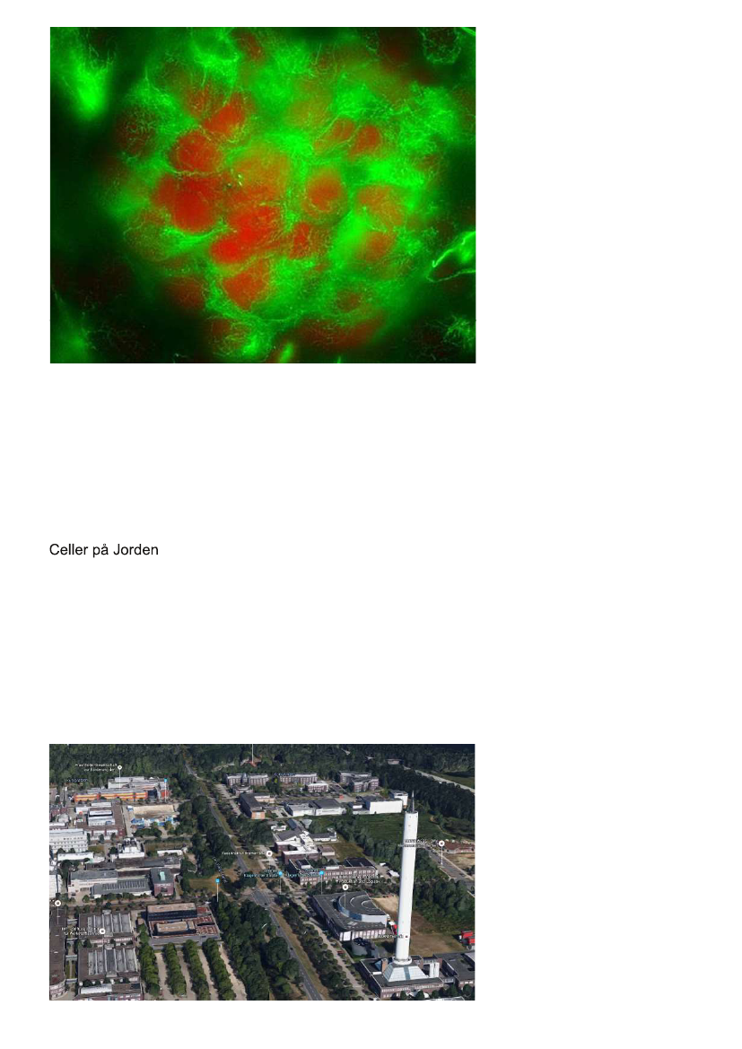 1640384_0010.png