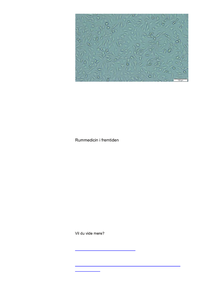 1640384_0013.png